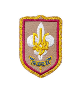 Відзнака пластунки Вірлиці
