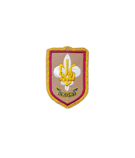 Відзнака пластунки Вірлиці