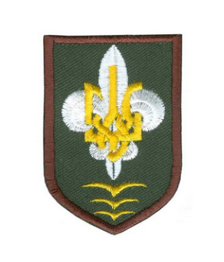 Сеніор Керівництва