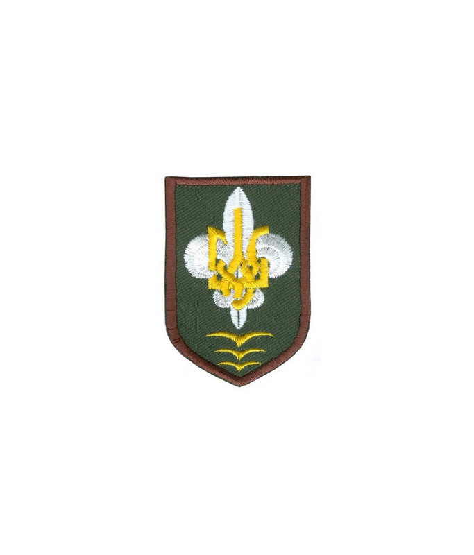 Сеніор Керівництва