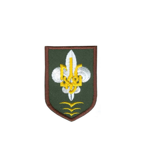 Сеніор Керівництва