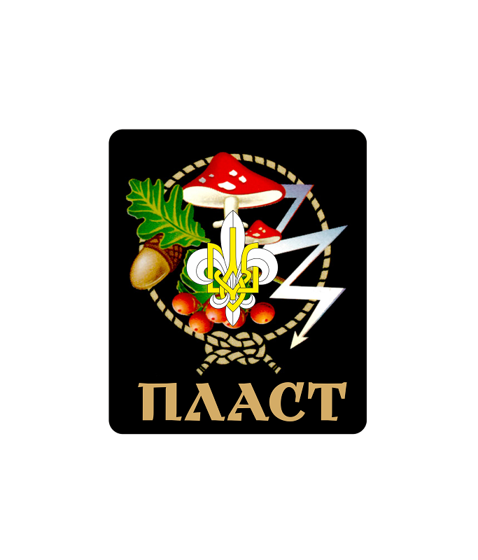 Наліпка СКОБ!