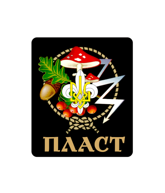 Наліпка СКОБ!