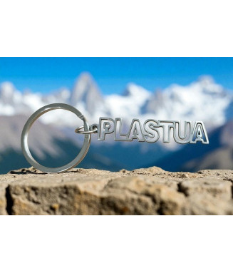 Дармовис  Пласт (іноз.брелок)