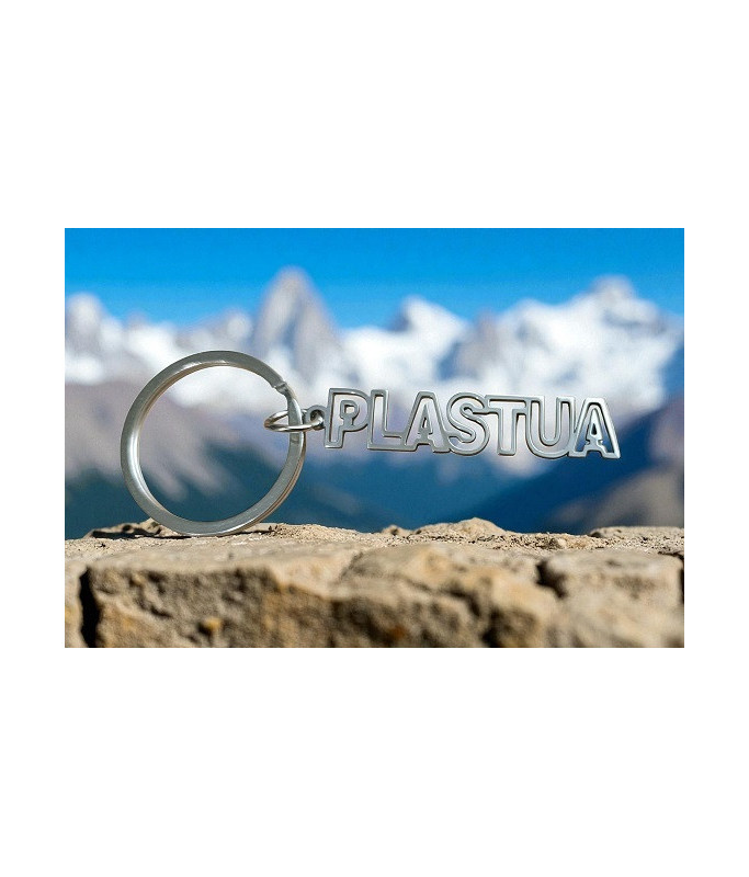 Дармовис  Пласт (іноз.брелок)