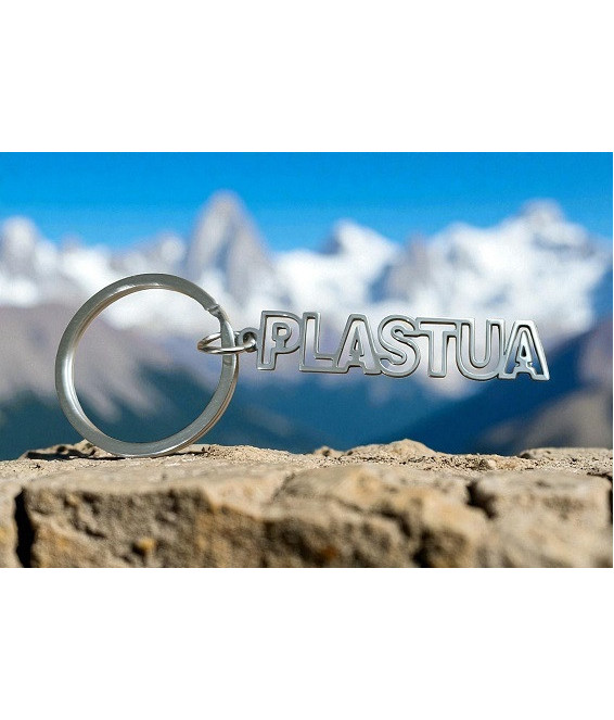 Дармовис  Пласт (іноз.брелок)