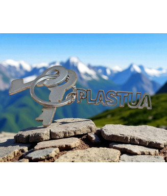 Дармовис  Пласт (іноз.брелок)